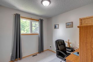 Photo 14: 48 Spring Haven Close SE: Airdrie Detached for sale : MLS®# A1131621