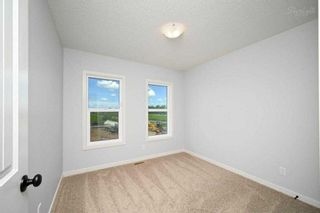 Photo 18: 113 Midtown Close SW: Airdrie Detached for sale : MLS®# A2121781