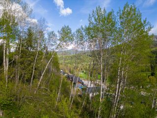 Photo 22: 1021 SILVERTIP ROAD in Rossland: Vacant Land for sale : MLS®# 2470639