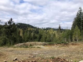 Photo 13: 2085 Midora Rd in Nanaimo: Na Extension Land for sale : MLS®# 942978