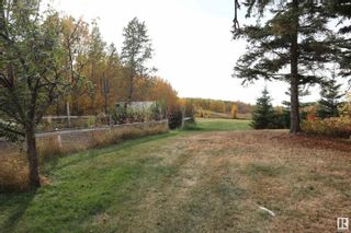Photo 37: 4701 22 Street: Rural Wetaskiwin County House for sale : MLS®# E4335328