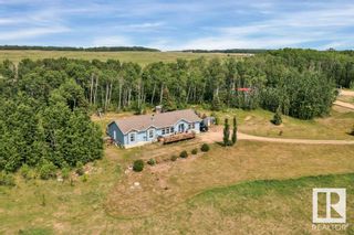 Photo 41: 46 454072 RGE RD 11: Rural Wetaskiwin County House for sale : MLS®# E4343368