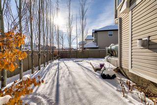 Photo 40: 45 Cranberry Lane SE in Calgary: Cranston Detached for sale : MLS®# A2020738