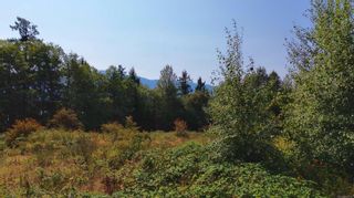 Photo 9: 2019 Bowen Rd in Nanaimo: Na Central Nanaimo Unimproved Land for sale : MLS®# 949313