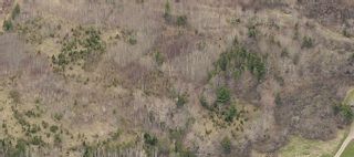 Photo 2: Stellarton Trafalgar Road in Hopewell: 108-Rural Pictou County Vacant Land for sale (Northern Region)  : MLS®# 202214385