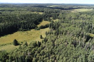 Photo 4: Range Road 51: Rural Mountain View County Residential Land for sale : MLS®# A1185506