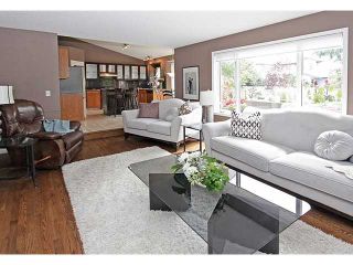 Photo 9: 301 SUNMILLS Drive SE in Calgary: Sundance Residential Detached Single Family for sale : MLS®# C3636462