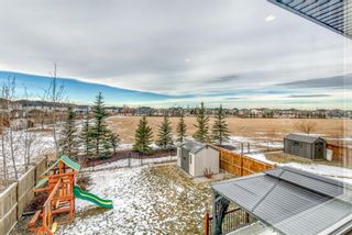 Photo 41: 4732 ELGIN Avenue SE in Calgary: McKenzie Towne Detached for sale : MLS®# A1054032