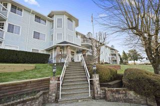 Photo 1: 116 11510 225 Street in Maple Ridge: East Central Condo for sale : MLS®# R2445667
