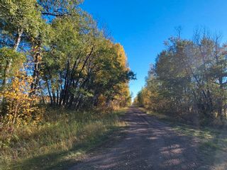 Photo 3: NW-4-67-19-4 , Boyle (Alpac): Rural Athabasca County Rural Land/Vacant Lot for sale : MLS®# E4264461
