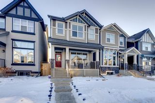 Photo 1: 291 Masters Row SE in Calgary: Mahogany Detached for sale : MLS®# A2018323