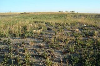 Photo 3: 508 Coulee Trail: Stavely Residential Land for sale : MLS®# A2100264