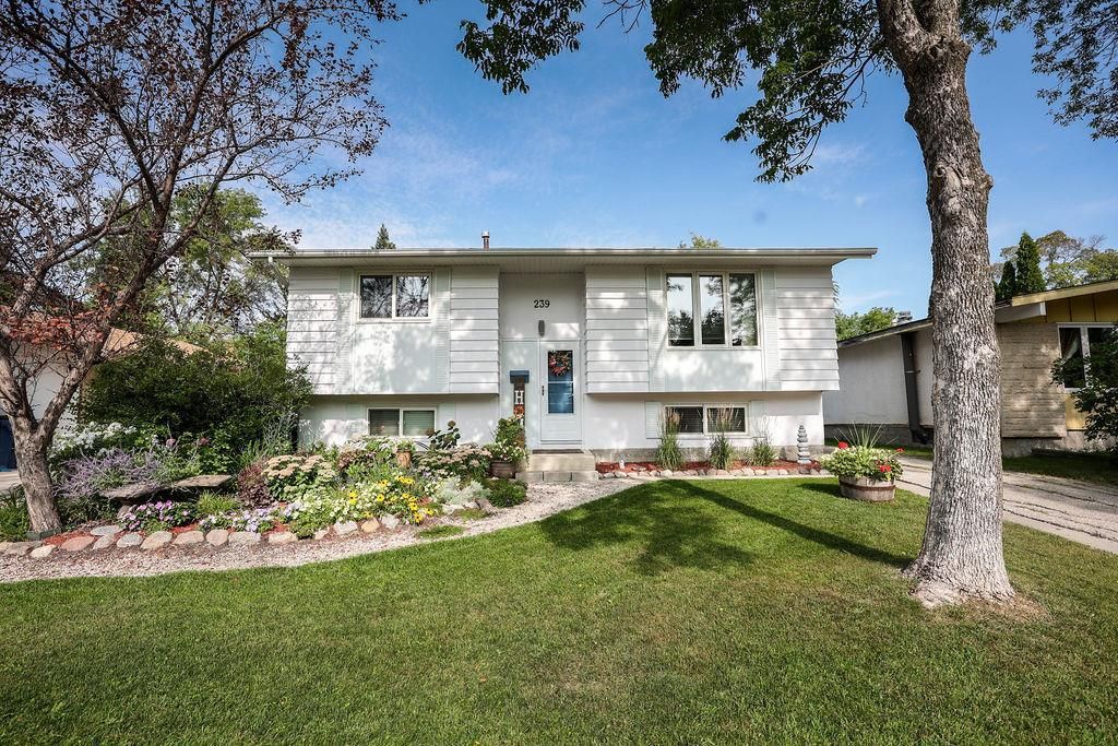 Main Photo: 239 Riel Avenue in Winnipeg: Bright Oaks Residential for sale (2C)  : MLS®# 202222086