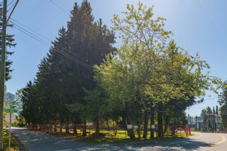Photo 12: 13003 OLD YALE Road in Surrey: Whalley Land for sale (North Surrey)  : MLS®# R2878633
