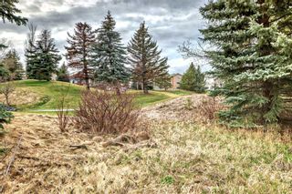 Photo 5: 113 Hamptons Link NW in Calgary: Hamptons Row/Townhouse for sale : MLS®# A2130934