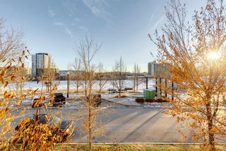Photo 46: 117 910 Centre Avenue NE in Calgary: Bridgeland/Riverside Apartment for sale : MLS®# A2012923