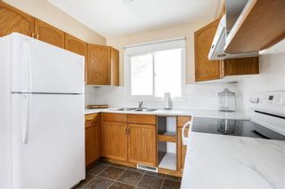 Photo 6: 31 Nemy Crescent in Winnipeg: Crestview Residential for sale (5H)  : MLS®# 202304790