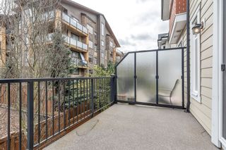 Photo 20: 8 8068 207 Street in Langley: Willoughby Heights Townhouse for sale in "Yorkson Creek South" : MLS®# R2871384