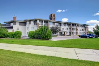 Photo 47: 124 8200 4 Street NE in Calgary: Beddington Heights Apartment for sale : MLS®# A2017788
