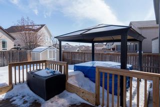 Photo 30: 232 Chadwick Crescent in Winnipeg: Canterbury Park Residential for sale (3M)  : MLS®# 202205696