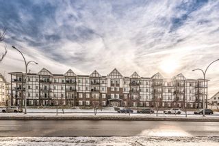 Photo 40: 303 6603 New Brighton Avenue SE in Calgary: New Brighton Apartment for sale : MLS®# A1165931