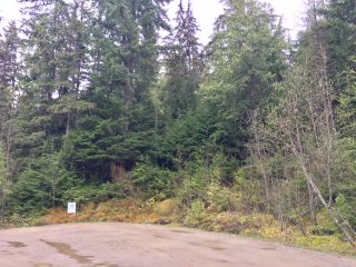 Photo 23: 3,4,6 Armstrong Road in Eagle Bay: Vacant Land for sale : MLS®# 10133907