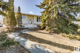 Photo 49: 8707 31 Avenue in Edmonton: Zone 29 House for sale : MLS®# E4380073