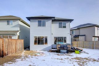 Photo 49: 214 Covemeadow Bay NE in Calgary: Coventry Hills Detached for sale : MLS®# A1192845