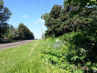 Photo 5: 16830 41 Avenue in Edmonton: Zone 56 Vacant Lot/Land for sale : MLS®# E4307816