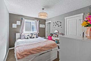Photo 31: 217 Walden Square SE in Calgary: Walden Detached for sale : MLS®# A1208615