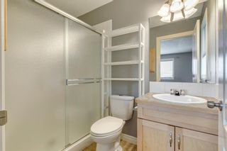 Photo 28: 391 Sagewood Place: Airdrie Detached for sale : MLS®# A1220385