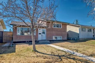 Photo 3: 195 Pinecliff Way NE in Calgary: Pineridge Detached for sale : MLS®# A2124953