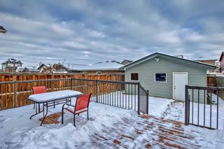 Photo 21: 74 Ravenswynd Rise SE: Airdrie Detached for sale : MLS®# A2098716