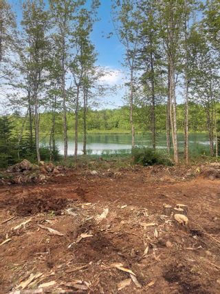 Photo 7: Lot Butler Road in Murphy Lake: Kings County Vacant Land for sale (Annapolis Valley)  : MLS®# 202304459