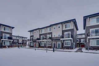 Photo 49: 116 30 Cornerstone Manor NE in Calgary: Cornerstone Row/Townhouse for sale : MLS®# A2121420