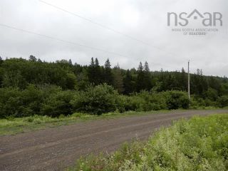 Photo 8: 15.5 acres Lairg Road in New Lairg: 108-Rural Pictou County Vacant Land for sale (Northern Region)  : MLS®# 202226624
