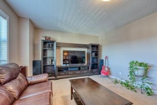 Photo 20: 27 SKYVIEW SPRINGS Cove NE in Calgary: Skyview Ranch Detached for sale : MLS®# A1053175