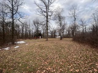 Photo 25: 28164 Cammart Road in De Salaberry: Vacant Land for sale : MLS®# 202330785