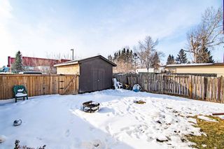 Photo 13: 6748 59 Avenue: Red Deer Semi Detached for sale : MLS®# A1182921