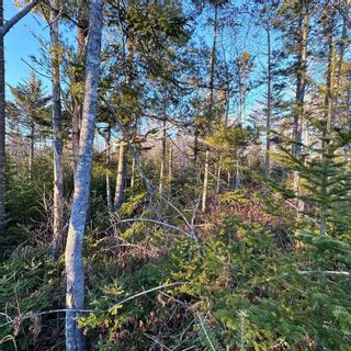Photo 22: 18474 Highway 103 in Middlewood: 405-Lunenburg County Vacant Land for sale (South Shore)  : MLS®# 202401030