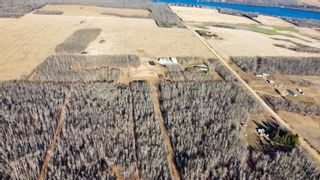 Photo 8: 475022 Range Road 272: Rural Wetaskiwin County Rural Land/Vacant Lot for sale : MLS®# E4269534