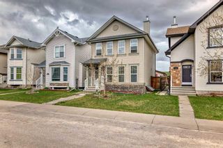Photo 46: 114 Cranberry Close SE in Calgary: Cranston Detached for sale : MLS®# A2127674