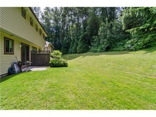 Photo 19: # 15 21960 RIVER RD in Maple Ridge: West Central Townhouse for sale in "Foxborough Hills" : MLS®# V1011348
