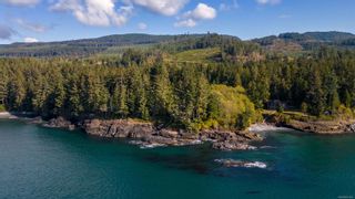Photo 57: 2946 Fishboat Bay Rd in Sooke: Sk French Beach House for sale : MLS®# 951251