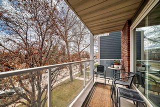 Photo 11: 301 823 5 Street NE in Calgary: Renfrew Apartment for sale : MLS®# A2131049