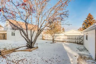 Photo 33: 216 Pinetree Place NE in Calgary: Pineridge Detached for sale : MLS®# A2013958