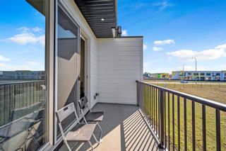 Photo 35: 341 Skyview Ranch Circle NE in Calgary: Skyview Ranch Row/Townhouse for sale : MLS®# A2125993