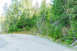 Photo 64: 3,4,6 Armstrong Road in Eagle Bay: Vacant Land for sale : MLS®# 10133907