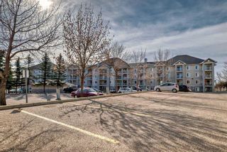 Photo 23: 3306 1620 70 Street SE in Calgary: Applewood Park Apartment for sale : MLS®# A2123526