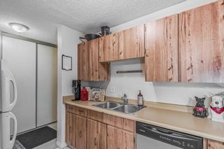 Photo 15: 1208 3115 51 Street SW in Calgary: Glenbrook Apartment for sale : MLS®# A2068400